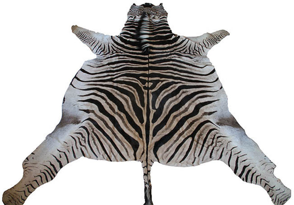 Zebra rug