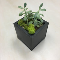 Small planter