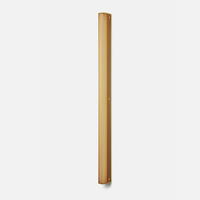 Large Sconce