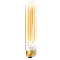 Edison Bulb